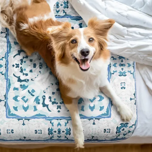 Miniatura 4 de NALALAS Almohadillas grandes lavables para orina para perros Reutilizables, impermeables y ultra absorbentes Almohadillas para orina de perro