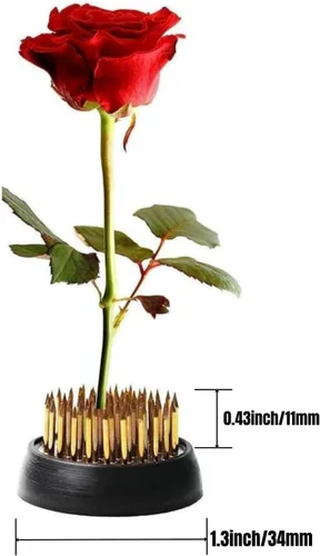 Miniatura 9 de 10 piezas Kenzan 34mm/1.34inch Diámetro Floral Pin Frog Ikebana Arreglista de flores titular 10