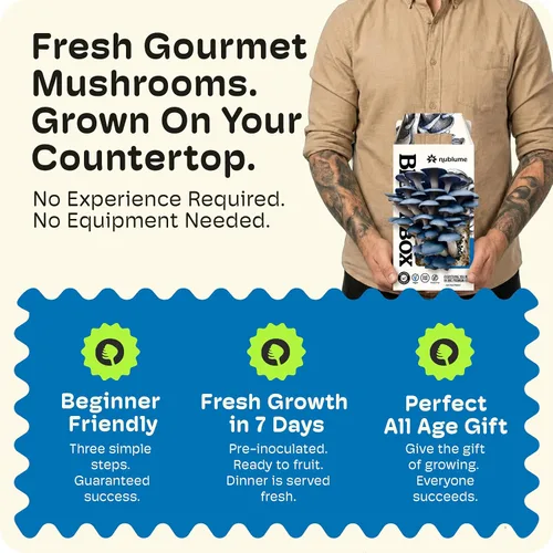 Miniatura 2 de BloomBox Kit de Cultivo de Setas Ostra Azules – Listo para Fructificar Regalo de Jardinería Interior – Tronco de Spawn Orgánico para Hongos Frescos