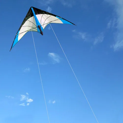 Miniatura 2 de HENGDA KITE - Cometa de rima estelar mejorada de 48 pulgadas, cometa de acrobacias de doble línea para niños y adultos, deportes al aire libre
