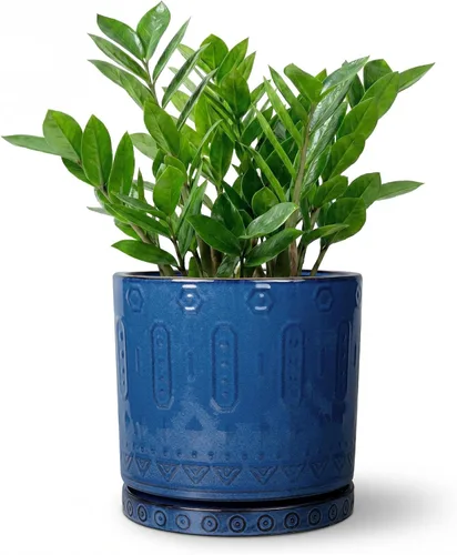 Miniatura 29 de Maceta de Cerámica Eightpot - Maceta de 20 cm para Interior con Agujeros de Drenaje y Platillo, Maceta Redonda para Exterior, Maceta Moderna de Azul