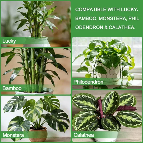 Miniatura 5 de Suelo natural puro para macetas para plantas de bambú de la suerte, 1 cuarto de galón, drenaje superior y transpirabilidad, suelo ideal para plantas