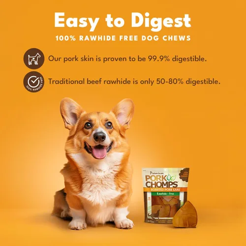 Miniatura 2 de Pork Chomps Masticables de piel de cerdo asada para perros, formas de oreja de 5 pulgadas, 1.6 onzas (paquete de 1)
