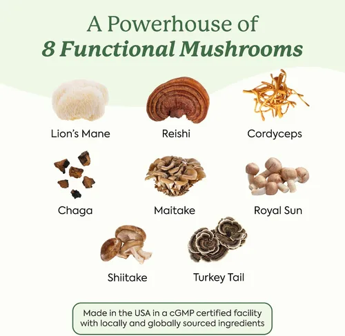 Miniatura 3 de Plant People WonderDay - Gomitas de hongos, melena de león, Cordyceps, suplemento de hongo Chaga para apoyar el sistema inmunológico, desestresar