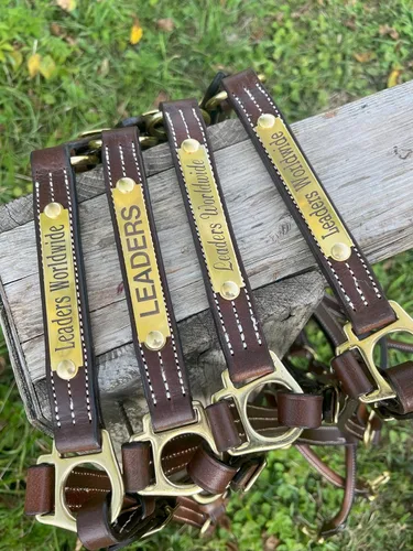 Miniatura 3 de Leaders - Cabestro de cuero para caballos con placa de nombre grabada personalizada para caballo
