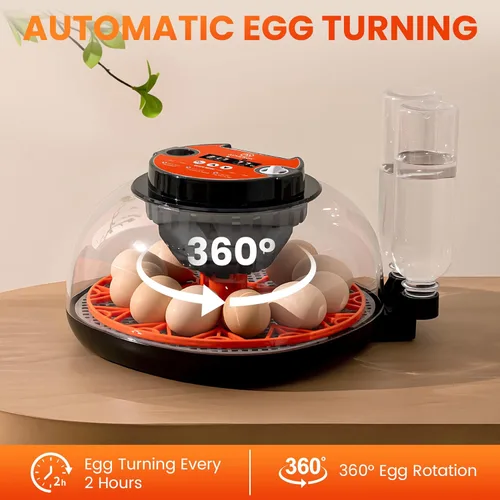 Miniatura 4 de Incubadora de 12 huevos para incubar, pollo, pato, codorniz y ganso, girador automático de huevos, control de temperatura y humedad, pantalla LED