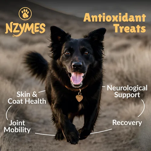 Miniatura 2 de Nzymes® Golosinas antioxidantes – para articulaciones de perros, caderas, parálisis, piel, abrigo, pérdida de cabello, envejecimiento, digestión