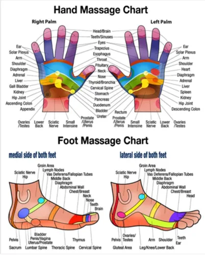Miniatura 7 de Reflexology - Masajeador tailandés tradicional de madera para cuerpo completo, gancho para espalda, spa, cara, terapia Gua Sha, herramienta