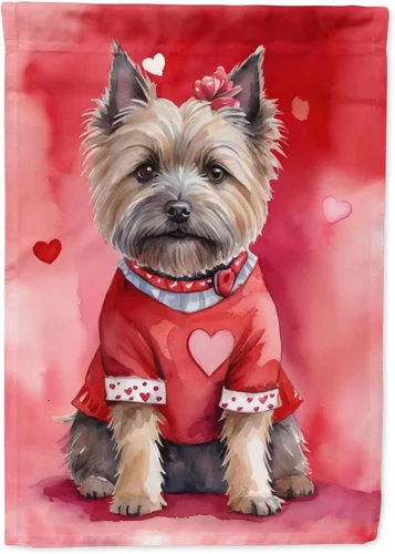 Miniatura 80 de Caroline's Treasures DAC5292CHF - Bandera de Border Collie My Valentine House para porche, grande, con manga para porche, para colgar en la pared