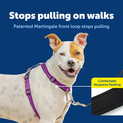 Miniatura 3 de Arnés PetSafe 3 en 1, de los fabricantes del arnés Easy Walk, XS