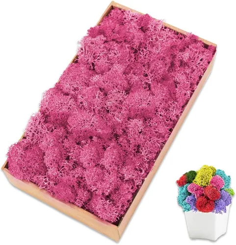 Miniatura 7 de Musgo de reno amarillo preservado de 3.5 onzas para plantas en maceta, decoración artesanal para arte de pared, musgo falso para decoración