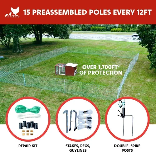 Miniatura 2 de RentACoop Valla eléctrica de red para aves de corral, recinto eléctrico para aves de corral para pollos, patos, pavos - Adecuado para pollos de 4