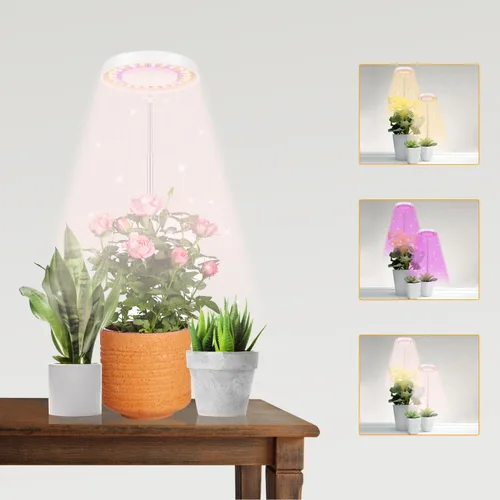 GooingTop Luz LED de Crecimiento, Lámpara de Planta Halo para Plantas de Interior en Crecimiento, Luz Blanca Baja para Suculentas y Plantas Pequeñas