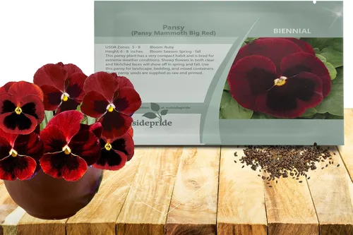 Outsidepride Big Red Viola - Semillas de pensamiento para plantar, 50 piezas. Flores bienales, resistentes al frío y aptas para polinizadores con