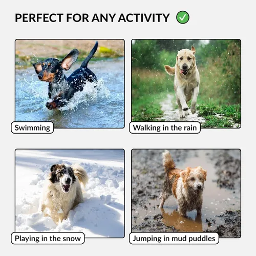 Miniatura 4 de CollarDirect Collar de perro impermeable - Collar de silicona, plástico, resistente al olor, fácil de limpiar, para perros grandes, medianos y Verde