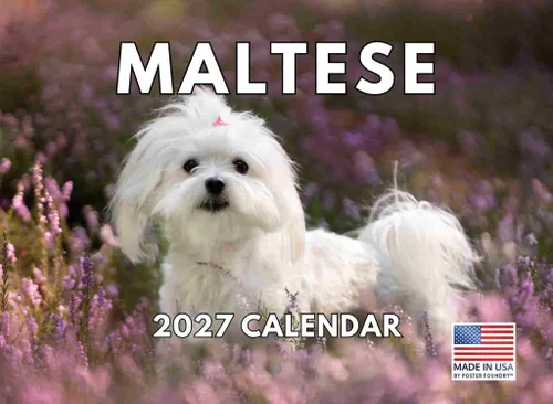 Miniatura 18 de Calendario de pared mensual 2025 Great Dane de 12 meses, fabricado en Estados Unidos