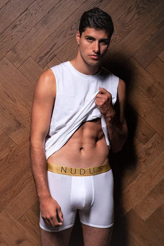 Miniatura 3 de NUDUS Ropa interior de bambú de 2 bolsas para hombre, paquete de 4 calzoncillos tipo caja de regalo, calzoncillos tipo bóxer