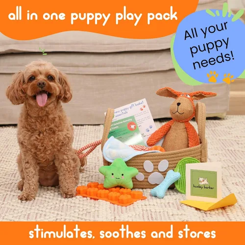 Miniatura 4 de Kit de iniciación para cachorros de alta calidad, cesta de regalo para cachorros con artículos esenciales, caja de juguetes, bandeja de golosinas