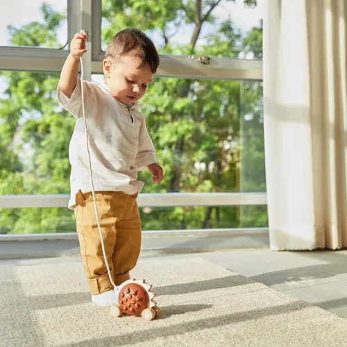 Miniatura 8 de PlanToys® Erizo de madera Juguete Montessori para niños pequeños Juguete para caminar con sonido, aprendizaje temprano, equilibrio y Erizo Pull