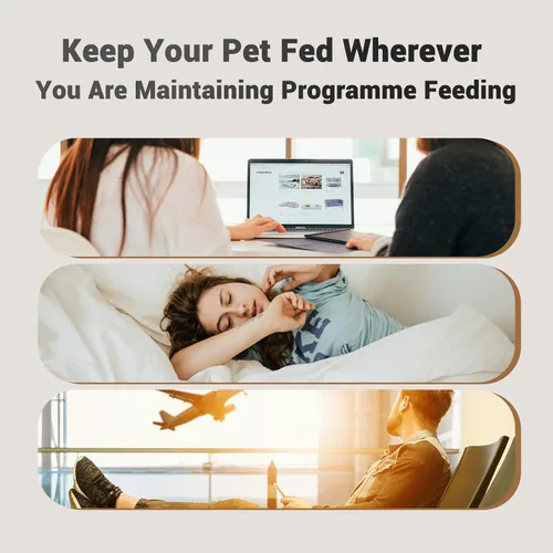 Miniatura 7 de PETULTRA Comedero automático para gatos: dispensador de alimentos para gatos con temporizador de 4 litros, programable de 1 a 6 comidas para gatos