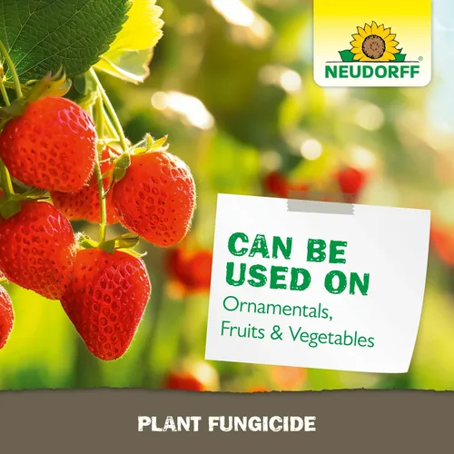Miniatura 7 de Neudorff Spray fungicida para plantas, fungicida de jabón de cobre para rosas, frutas y verduras para controlar el moho polvoriento y otras
