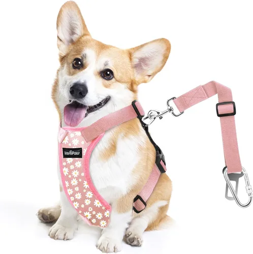 Miniatura 26 de VavoPaw cinturón de seguridad para perro, arnés de coche con peto de seguridad y hebilla ajustable para vehículo, cinturón de seguridad de nailon