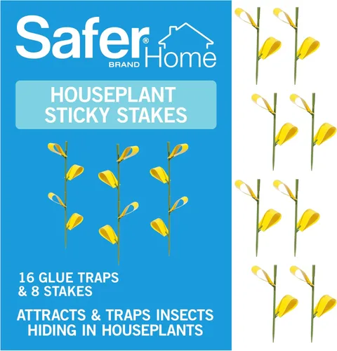 Trampas adhesivas Safer Brand Home SH5026 para plantas de interior - 16 trampas incluidas - Controla áfidos, moscas blancas, moscas de la fruta,