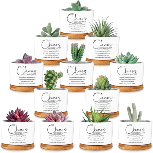 Miniatura 8 de 12 macetas inspiradoras para suculentas, regalo de agradecimiento a granel para mujeres, empleadas, profesores, compañeras de trabajo, Sometimes You