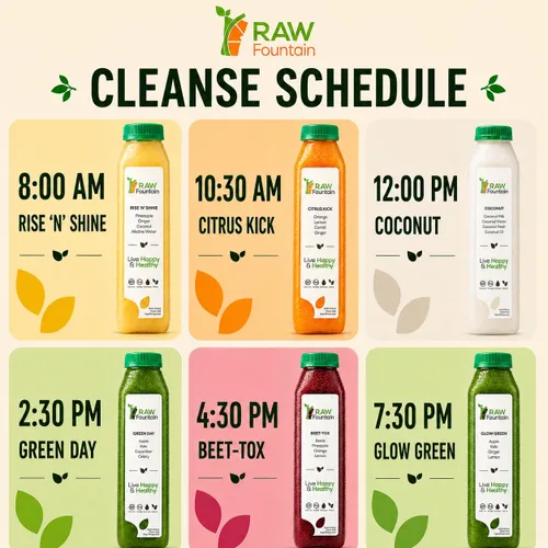 Miniatura 4 de Raw Fountain, limpieza de jugo de 3 días de limpieza natural de desintoxicación cruda, jugo para restablecimiento corporal, jugo prensado en frío