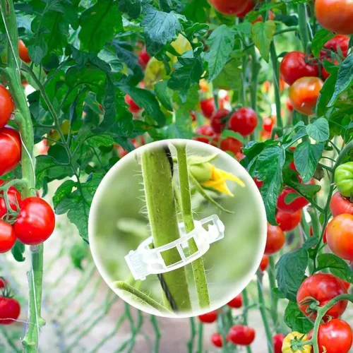 Miniatura 2 de Clips de soporte para plantas, clips de jardín reutilizables, clips de plástico para tomate, vid y uva para cuerdas, clips para plantas trepadoras
