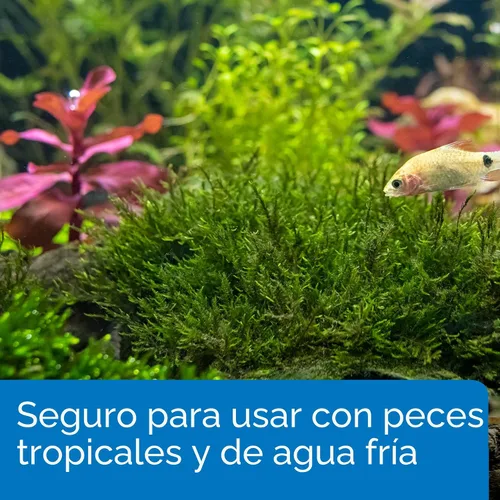 Miniatura 5 de API ROOT TABS - Fertilizante para plantas de acuario de agua dulce, 0.4 onzas, caja de 10