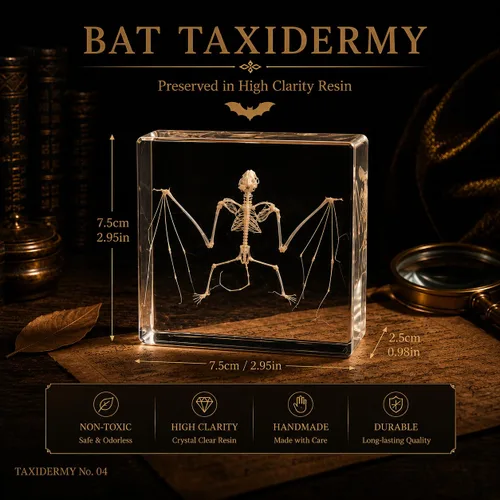 Miniatura 2 de Espécimen de esqueleto de murciélago real en resina para educación científica en el aula, gran regalo para fanáticos de la taxidermia, cráneo