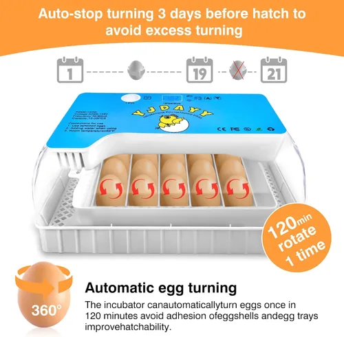 Miniatura 3 de Incubadoras para incubar huevos de 15-35 huevos con giro automático de huevos y pantalla de temperatura ℉ Incubadora de aves de corral LED