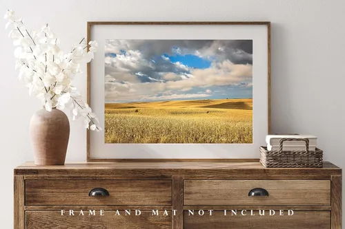 Miniatura 4 de Impresión de fotografía campestre (no enmarcada) Imagen de campos de maíz en terrazas doradas bajo el cielo de ensueño en el día de otoño en Iowa