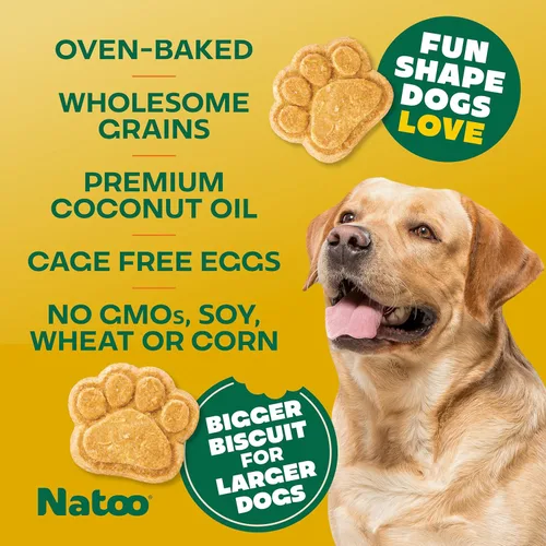 Miniatura 4 de NATOO Golosinas saludables para perros grandes, galletas crujientes sabor coco y mango, golosinas naturales para perros, ricas en Omega 6