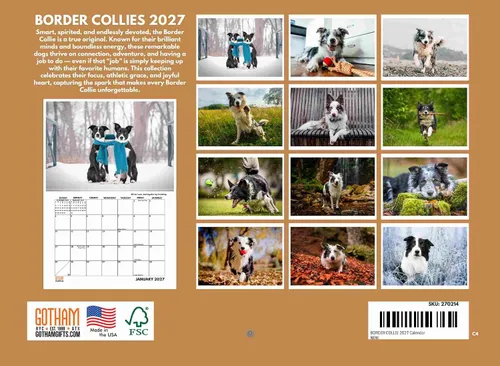 Miniatura 2 de Border Collie Calendario mensual de pared 2025 de 12 meses Fabricado en Estados Unidos