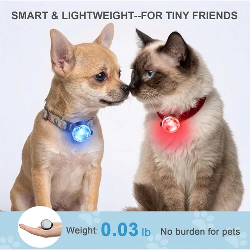 Miniatura 4 de Paquete de 2 luces para collar de perro, recargable USB-C con clip, luz LED impermeable de seguridad para mascotas con correa de silicona ajustable