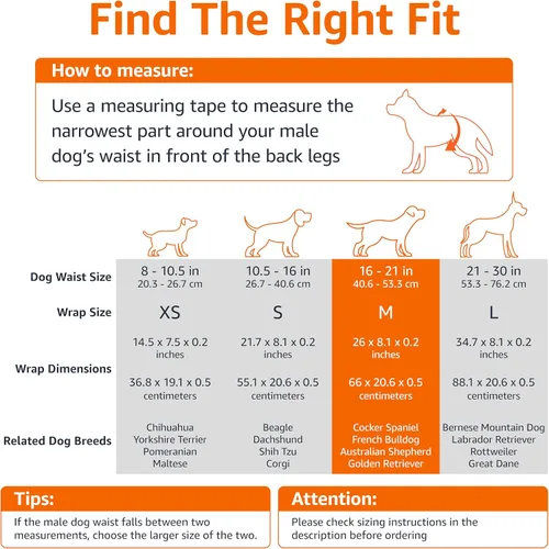Miniatura 4 de Amazon Basics Pañales para perros machos, 50 unidades, medianos, ultra absorbentes, desechables, con ajuste seguro, a prueba de fugas y cómodos
