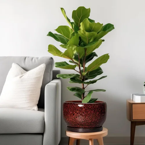 Miniatura 2 de SQOWL Maceta de cerámica para plantas - Maceta de cerámica de 6 pulgadas para interiores y exteriores, maceta decorativa para plantas con orificio
