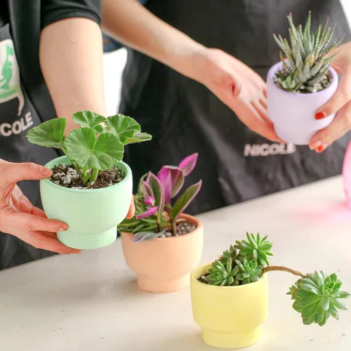 Miniatura 4 de Creativo silicona vela buques molde hecho a mano vela de hormigón tarro molde redondo suculento flor herramienta de fabricación (SH0873)