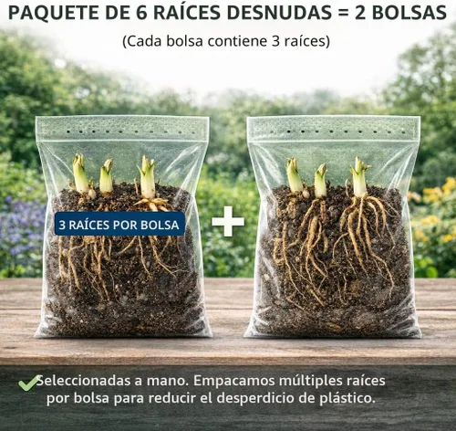 Miniatura 6 de Paquete de 6 plantas mixtas de raíces desnudas Hosta en forma de corazón, follaje verde rico, bajo mantenimiento para tu hogar y jardín, enviadas