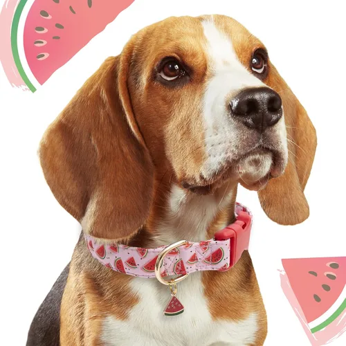 Miniatura 6 de Faygarsle Collar de Perro Lindo para Niñas y Perros Chicos Collar Suave y Elegante para Mascotas con Diseño de Sandía Collar de Perro Rosa Ideal