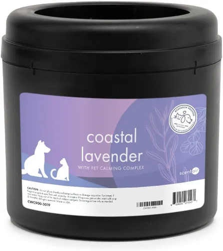 Miniatura 8 de ScentAir Whisper Home - Recambio mensual para enchufar, cartucho de fragancia para el hogar y la oficina, pomelo de vainilla oscura