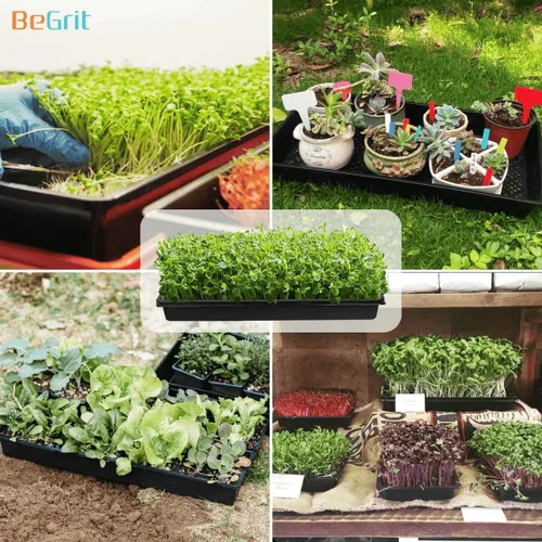 Miniatura 6 de BeGrit Bandejas de malla 1020 1020 con agujeros, bandeja inferior de malla para germinación de semillas de plantas microverdes, bandeja propagadora