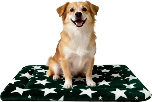Miniatura 23 de Alfombrilla para Cama de Perro – Almohadilla de Perrera Suave y Cómoda para Jaula – Cama y Almohadilla Duradera para Perros y Gatos – Ideal para Gris