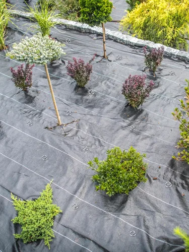 Miniatura 6 de 60 grapas de paisaje gruesas de calibre 7, estacas de jardín galvanizadas antioxidantes de 6 pulgadas, pasadores superiores circulares de paisaje