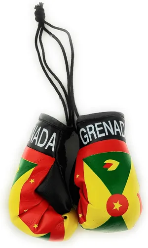 Miniatura 7 de Mini guantes de boxeo para colgar en el espejo del coche (Camerún)