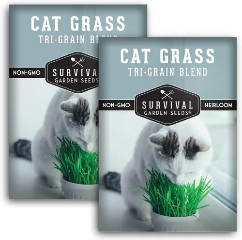 Semillas de hierba para gatos para plantar, 2 paquetes con instrucciones para plantar y cultivar verduras para tu mascota en interiores o exteriores