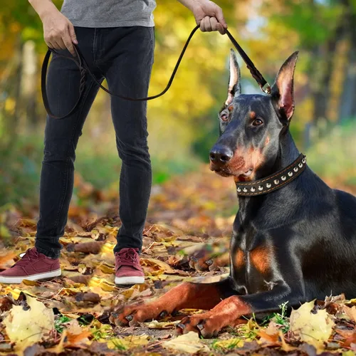 Miniatura 5 de LWBMG Correa de cuero para perro de 8 x 3/4 pulgadas, correas de perro para perros grandes, resistentes, fuertes y suaves, hechas a mano, trenzadas