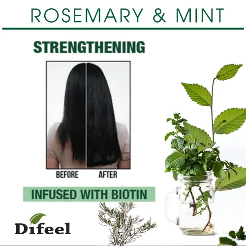 Miniatura 3 de Difeel Spray acondicionador sin enjuague fortalecedor de romero y menta con biotina, 6 onzas, fabricado con menta natural y aceite de romero